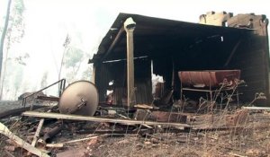 Portugal: gigantesque incendie de forêt, 57 morts