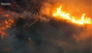 Incendie au Portugal: 62 morts, un Français parmi les victimes