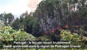 Les Portugais continuent de faire face aux incendies²