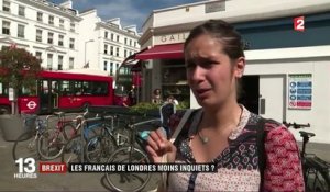 Brexit : les Français de Londres moins inquiets ?