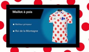 Cyclisme - Tour de France - Guide : Le maillot à pois