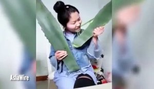 Cette chinoise mange une plante toxique en direct à la TV