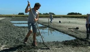 Vendée : Restauration d'un chantier de marais salant