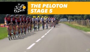 Peloton - Étape 5 / Stage 5 - Tour de France 2017
