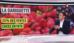 Alimentation : la fraise gariguette, des laboratoires à l'assiette