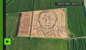 En Italie, un champ de maïs transformé en... portrait de Vladimir Poutine