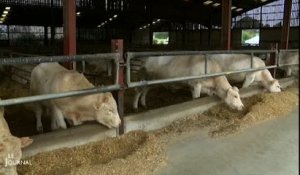 Les Etablières: Une ferme expérimentale pour l'élevage futur