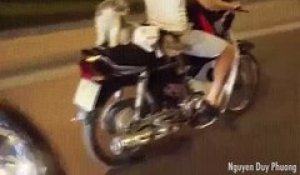 Le motard qui fait voyager ses animaux