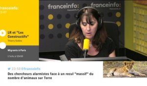 Thierry Solère : "Le bureau politique LR est illégitime"