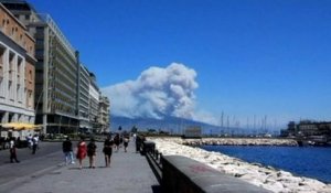 Italie : un incendie ravage le parc national du Vésuve, près de Naples