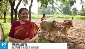 Vandana Shiva, rock-star anti-OGM
