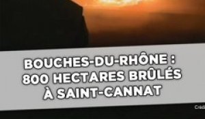 Bouches-du-Rhône : 800 hectares brûlés à Saint-Cannat