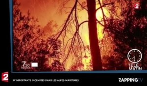 Alpes-Maritimes et Corse : D’importants incendies ravagent plusieurs hectares (vidéo)