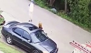 Une femme filmé en train de rayer une voiture avec une clé !!