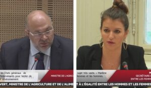 Audition de Stéphane Travert et Marlène Schiappa - Les matins du Sénat (20/07/2017)
