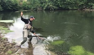 Pêche de truite de mer dans la Touques