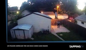 Un policier américain tire sur deux chiens inoffensifs, la vidéo choc