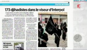 Lutte contre le terrorisme : 173 jihadistes identifiés par Interpol