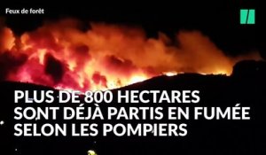 Les impressionnantes images du nouvel incendie près de Bormes Les Mimosas