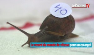 Championnat du monde de course d'escargots