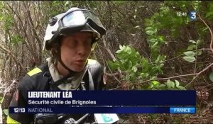 Incendie en Haute-Corse : l'objectif est d'annihiler toute reprise de feu
