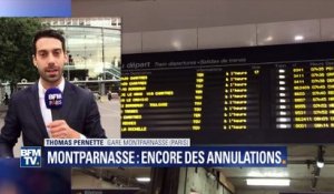 De nouvelles suppressions de trains ce lundi à Montparnasse. Le point sur la situation