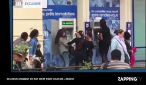 Des Roms utilisent un rat mort pour voler de l'argent à des passants au distributeur automatique (vidéo)