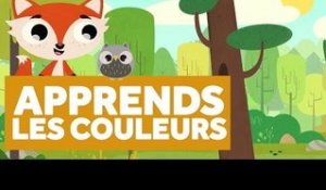 Apprendre Les Couleurs de la Forêt - L'École des Zibous ! Vidéo Educative