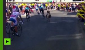 Un poney se joint à une course cycliste en Pologne
