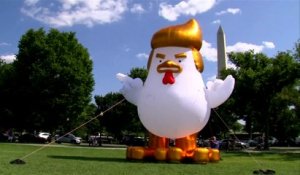 Un coq géant coiffé comme Donald Trump gonflé devant la Maison Blanche