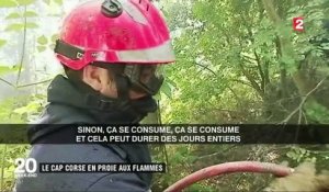 Corse : le nord de l’île en proie aux flammes
