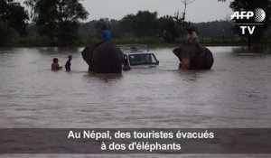 Mousson au Népal: des touristes évacués à dos d'éléphants