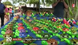 Costa Rica : le paradis des tortues