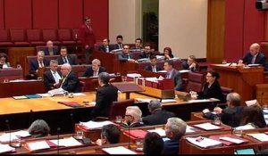 Australie: la présidente du parti d'extrême droite crée la polémique en arrivant habillée en burqa au Sénat - VIDÉO