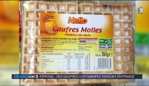 Fipronil : des gaufres contaminées vendues en France