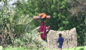 Lac Tchad: la vie reprend malgré la menace Boko Haram