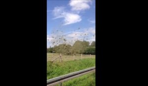 Incroyable tornade filmée dans un champs en Allemagne