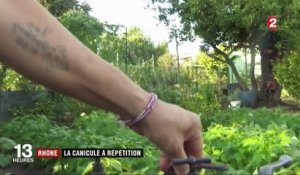 Rhône : des canicules à répétition