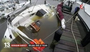 Ouragan Harvey : déluge sur le Texas