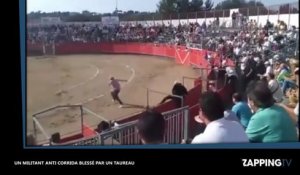 Carcassonne : Un militant anti-corrida blessé par un taureau en pleine arène (vidéo)