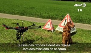 Suisse:des drones aident les chiens lors des missions de secours