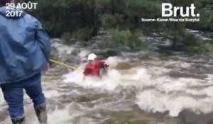 Ouragan Harvey : impressionnant sauvetage d'un chien piégé par les inondations