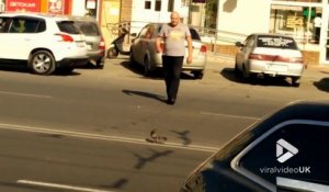 Cet homme aide un pigeon perdu à traverser la route !