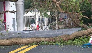 Miami soulagée après des dégâts moins importants que prévus