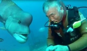 Ce plongeur chinois a filmé une créature étrange et terrifiante mais qui est en fait très affectueuse