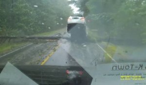 Cette voiture décolle stoppée net par la chute d'un arbre pendant l'ouragan Irma !