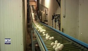 Le prix des œufs s'est envolé, les industriels s'inquiètent d'une possible pénurie