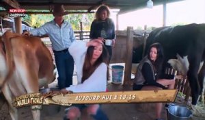 Les incroyables aventures de Nabilla et Thomas : Nabilla compare un pis de vache à "un téton de mamie" (vidéo)