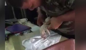 Ce chiot de deux jours a été sauvé par un soldat thaï