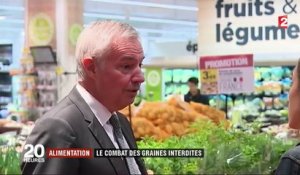 Alimentation : le combat des graines interdites